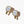Load image into Gallery viewer, Edgy Pickleball Studs