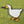 Load image into Gallery viewer, Nameless Goose Enamel Pin