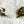 Load image into Gallery viewer, Shiny Punk Earring Set