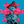 Load image into Gallery viewer, He is the Zissou
