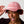 Load image into Gallery viewer, I'd Rather Be Reading Smut Baseball Hat
