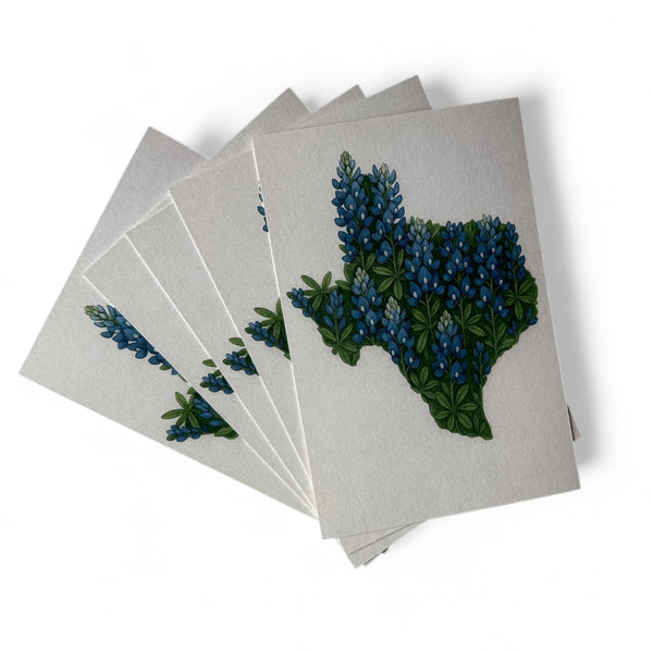 Texas Bluebonnet Postcard