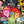 Load image into Gallery viewer, Come Along With Me
