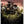 Load image into Gallery viewer, Get Out of Bed
