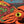 Load image into Gallery viewer, 14th St. Station Squid
