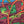 Load image into Gallery viewer, 14th St. Station Squid
