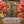Load image into Gallery viewer, I Won&#39;t Hurt You
