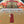 Load image into Gallery viewer, I Won&#39;t Hurt You
