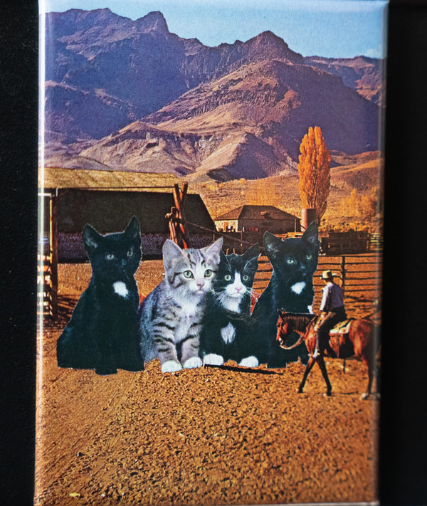Unusual Cards - Magnet - Herding Cats
